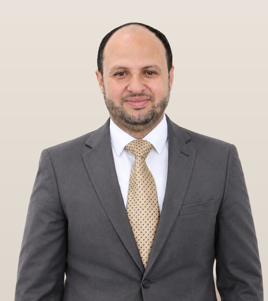 Ibrahim Mostafa Abdelhamid